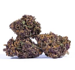 Purchasing Grape Ape Cannabis Strain Online In Augsburg Bavaria Germany