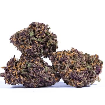 Purchasing Grape Ape Cannabis Strain Online In Augsburg Bavaria Germany