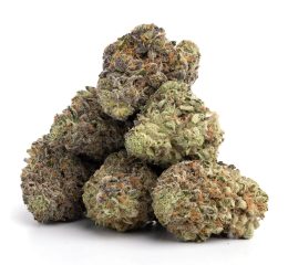 Amnesia Haze Cannabis Strain For Sale Online In Erfurt Thuringia Germany