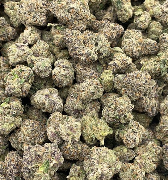 Blue Diesel Cannabis-Sorte zum Online-Verkauf in Salzburg Österreich