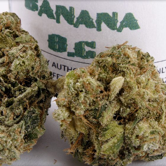 Banana OG Strain