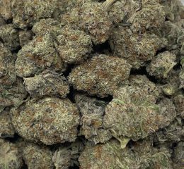 Purchasing Skywalker OG Cannabis Strain Online In Nuremberg Bavaria Germany