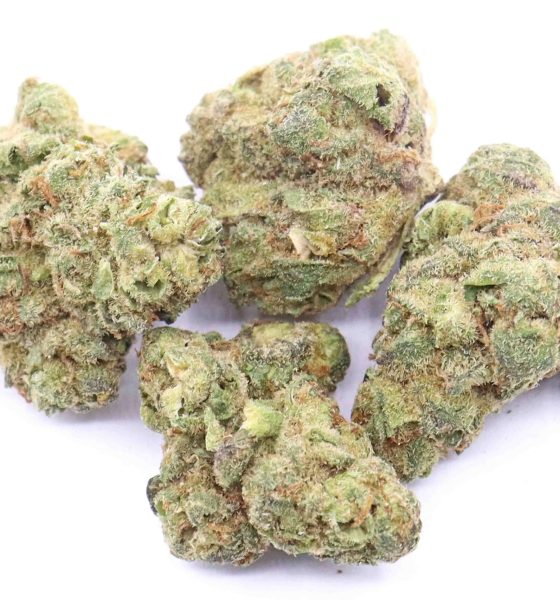 Mendo Breath Cannabis Strain for sale online in Germany