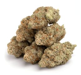 Purchasing GMO Cookies cannabis strain online in Leipzig Saxony Germany