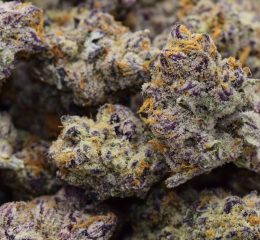 Kaufen Sie die Cannabissorte Purple Punch online in München Bayern Deutschland