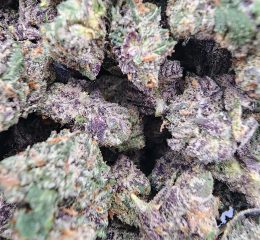 Kaufen Sie die Cannabissorte Granddaddy Purple Online in Berlin Deutschland