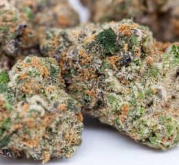 Girl Scout Cookies Cannabis Strain For Sale Online In Potsdam Brandenburg Germany