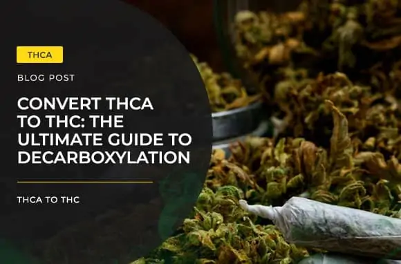 Les Bienfaits de la Décarboxylation