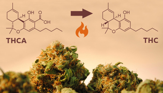 Pourquoi la Décarboxylation du Cannabis est Si Importante